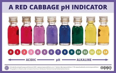 Image result for Red Cabbage Indicator Chart