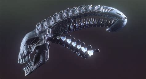 ArtStation - Alien Xenomorph Skull