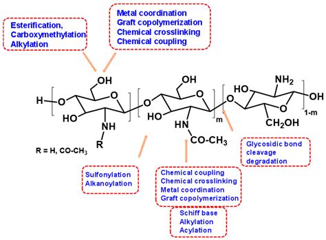 Update on Chitosan-Based Hydrogels: Preparation, Characterization, and ...