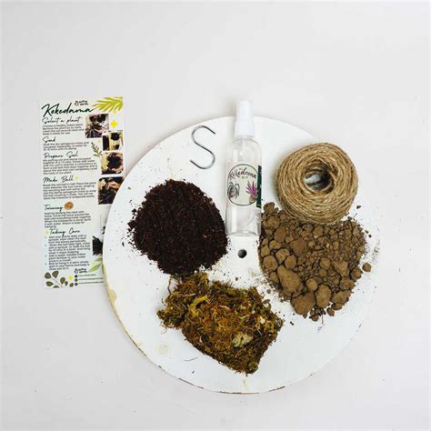 Buy Japanese Kokedama Hanging Planters DIY Kit Online On Zwende