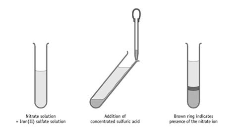 Image result for Gasious Nitrate Test