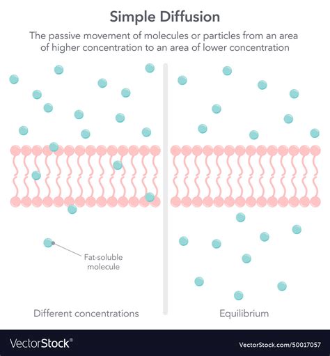 Image result for Simple Diffusion Example