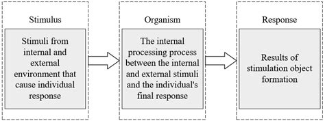 Image result for Control System Stimulus-Response Model