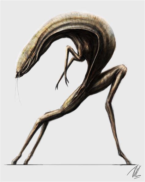 Image result for Alien Tripod MLP