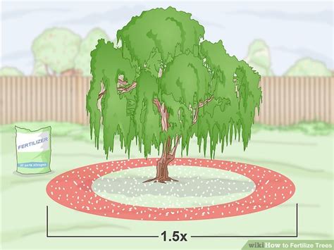 Image result for How Do You Fertilize a Tree