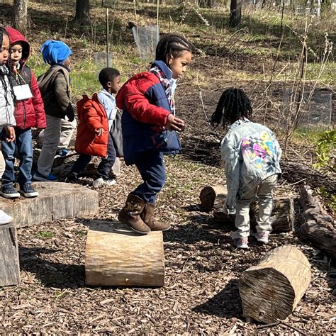 Image result for Tutorial Using Find Mesa Application