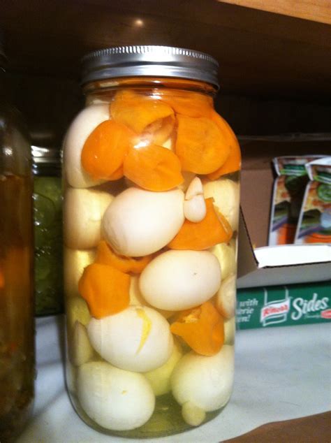 habanero pickled eggsDownload it from habanero pickled eggs for free 1.32