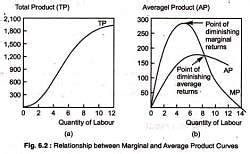Marginal and Average Product Curves (With Diagram) - Commerce PDF Download