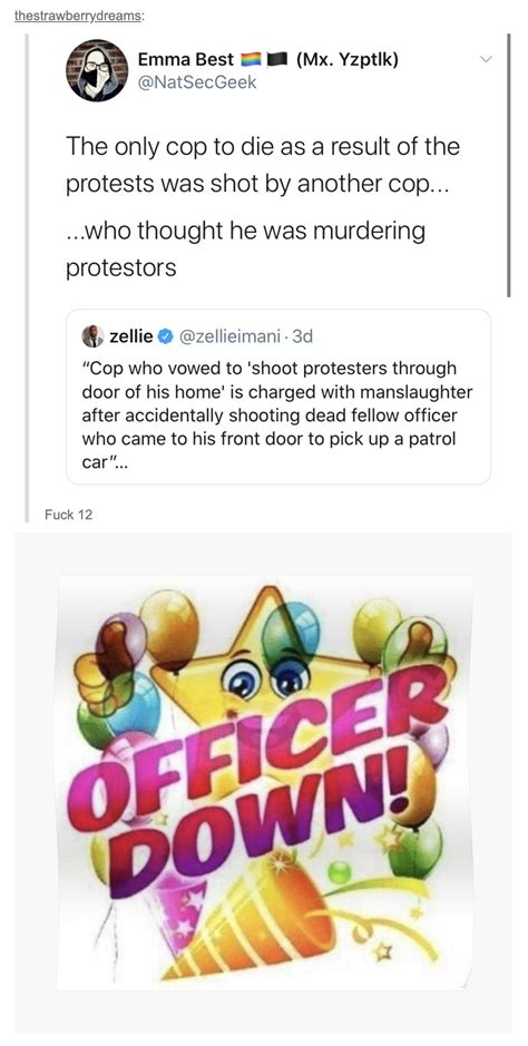 The only cop to die as a result of the protests was shot by another cop ...