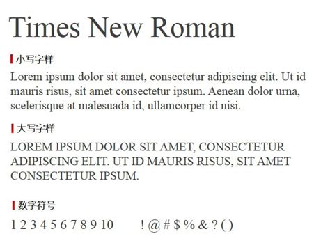 Times New Roman 字体下载 - 第一PPT
