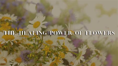 The Healing Power of Flowers: Balance Your Wellness With Nature's Mood ...
