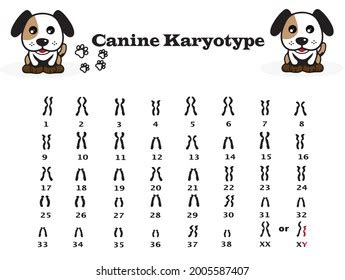 Image result for Research Code Sheet Example