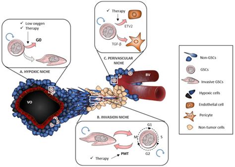 Adapt to Persist: Glioblastoma Microenvironment and Epigenetic ...