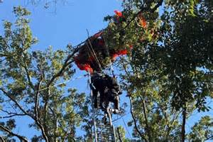 Man, 49, Dies While Skydiving, Months After 2 Others Died at Same Airfield