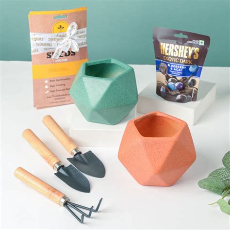 Plant Pot, Tools, And Seeds Festive Hamper Set Of 6 Online - Premium ...
