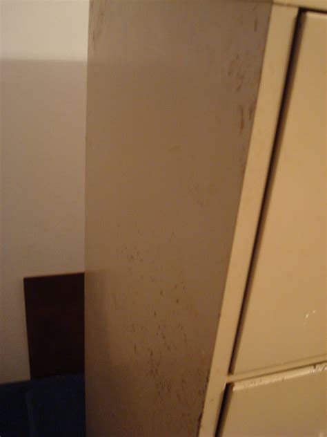 How to Clean a Rusty File 的图像结果