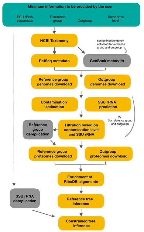 ORPER: A Workflow for Constrained SSU rRNA Phylogenies