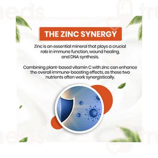 Himalayan Organics Vitamin C Zinc Vegetarian Capsule 120 - Uses, Side ...