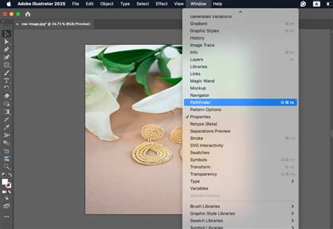 Image result for Illustrator Isolate a Path