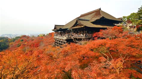 Best Time to Visit Japan: A Seasonal Guide