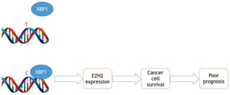 Epigenomes | December 2017 - Browse Articles