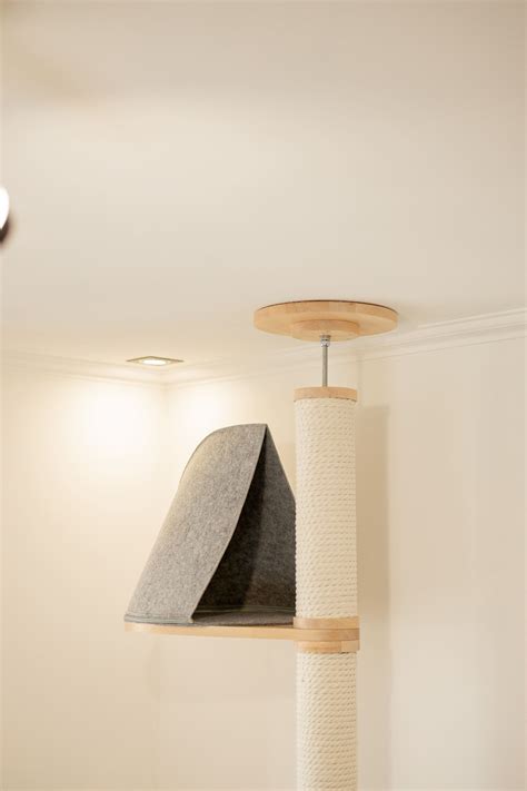 Floor To Ceiling Cat Tree Singapore at Helene Winkleman blog