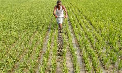 Big relief to farmers as TN govt fixes Rs 2,500/quintal for paddy ...