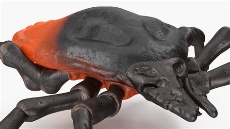 Tutorial Clock Tick Maya 的图像结果