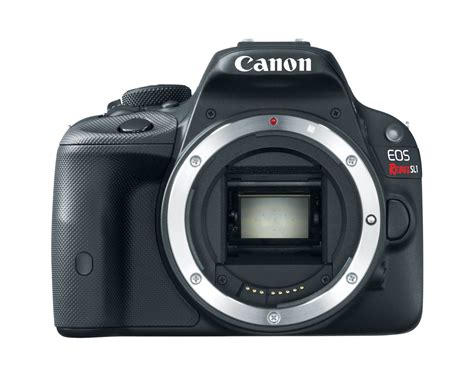 Best Canon DSLR Camera 的图像结果