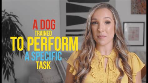 Psychiatric Service Dog Task Training 的图像结果