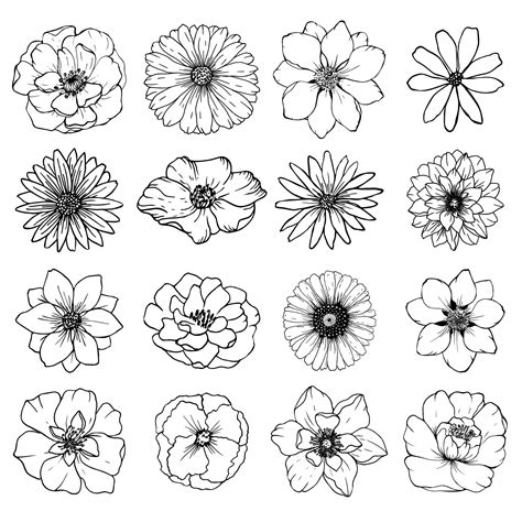 Premium Vector | Big collection sketch different flowers