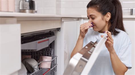 How to get rid of a dishwasher smell | Top Ten Reviews