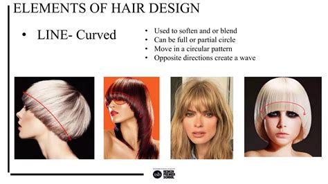 Milady principles of hair design | PPTX - elements of hair