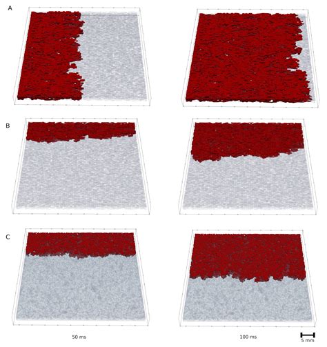 Myocardial Fibrosis in a 3D Model: Effect of Texture on Wave Propagation