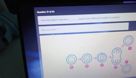 Solved: Look at the diagram. There are 4 _shown in cell A. What word ...
