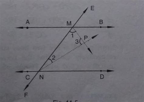 if a transversal intersects two Parallel Lines prove that the bisectors ...