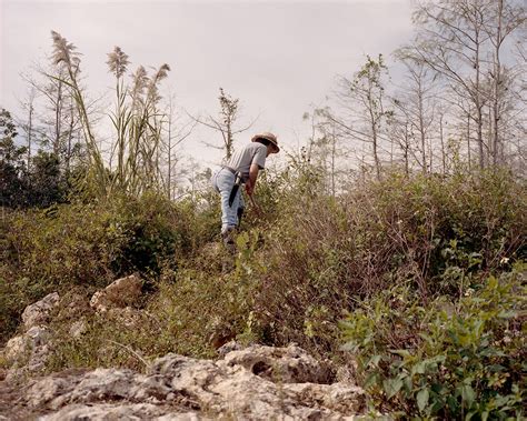 Image result for How Do Python Hunt