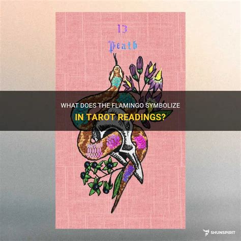 What Does The Flamingo Symbolize In Tarot Readings? | ShunSpirit
