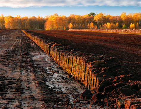 EU-Kommission will Landwirte für Kohlenstoffbindung belohnen ...