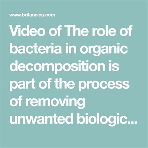 Image result for Decomposition Explained