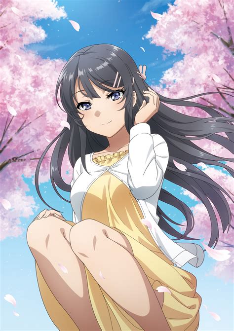 Sakurajima Mai - Seishun Buta Yarou Series - Image by CloverWorks ...