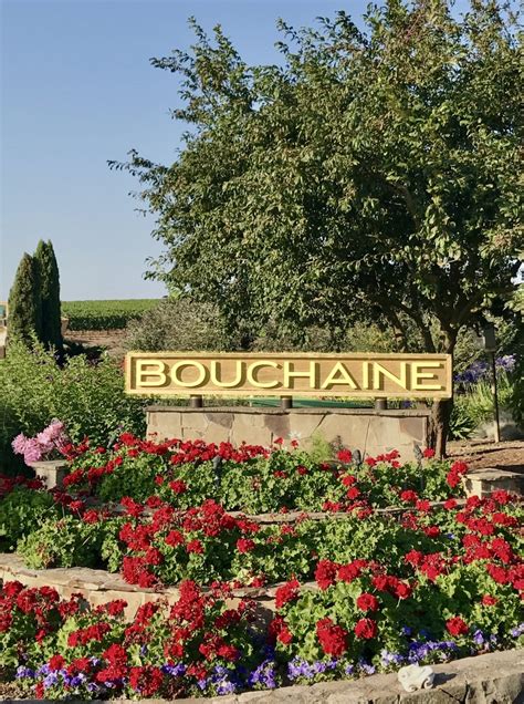 A Clonal Tasting of Pinot Noir With Napa Valley's Bouchaine Vineyards ...