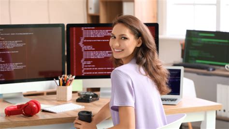 Image result for Computer Programmer Job Description