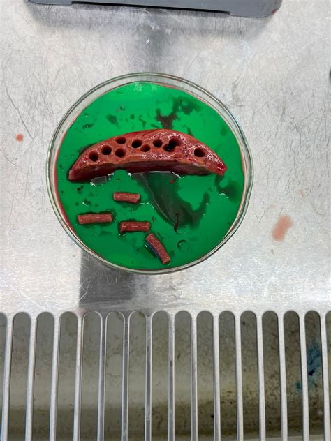 Image result for Mutilate Tissue Sample