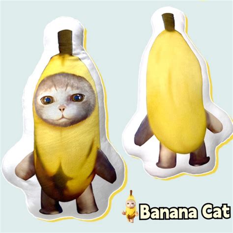 Image result for Cat Writing Python Code