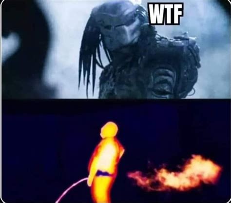 Image result for Alien vs Predator Edp445 Meme