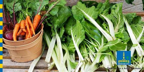 Grow it, cook it, compost it, Kitchen in the Garden, Brisbane Botanic ...