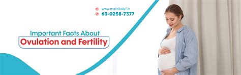 Index of [matrikaivf.in]