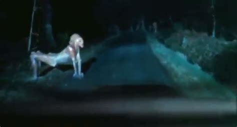 Alien Extacy 的图像结果