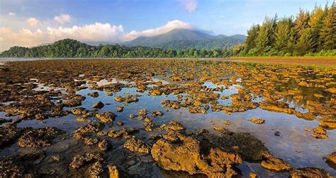 10 Must Do Things In Andaman And Nicobar – Seute.in